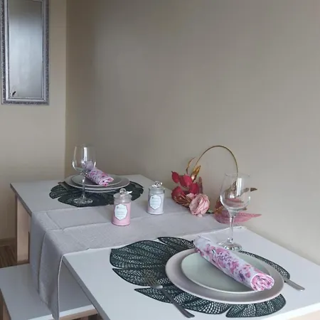 Apartment Mongi *